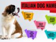 Italian Dog Names