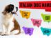 Italian Dog Names