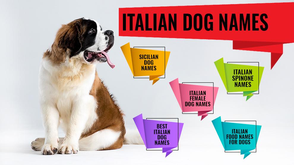 Italian Dog Names