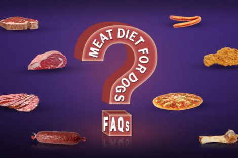 Meat Diet For Dogs FAQs