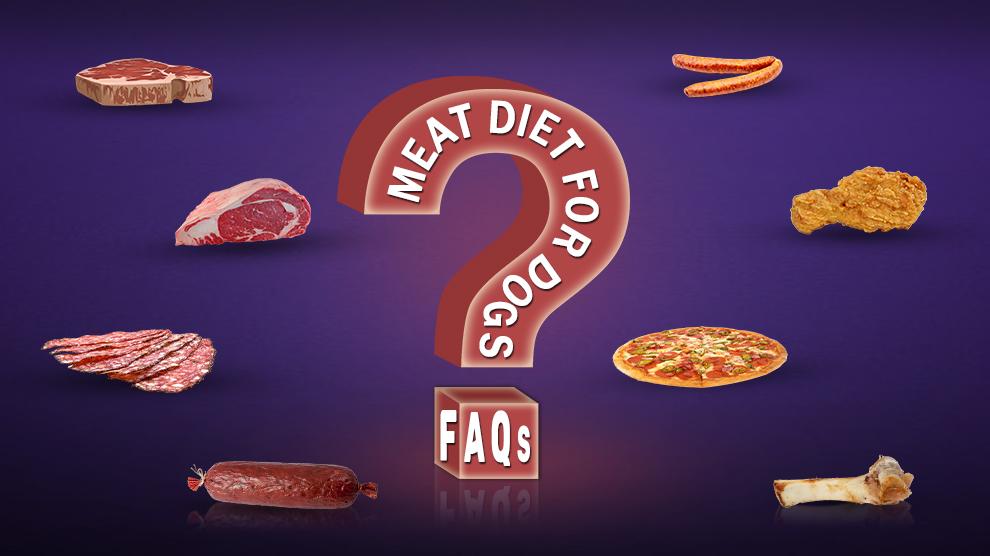 Meat Diet For Dogs FAQs