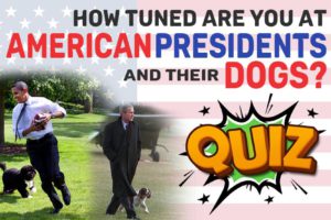 American Presidents And Their Dogs Quiz