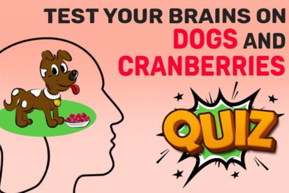 Can Dogs Eat Cranberries Quiz