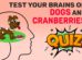 Can Dogs Eat Cranberries Quiz