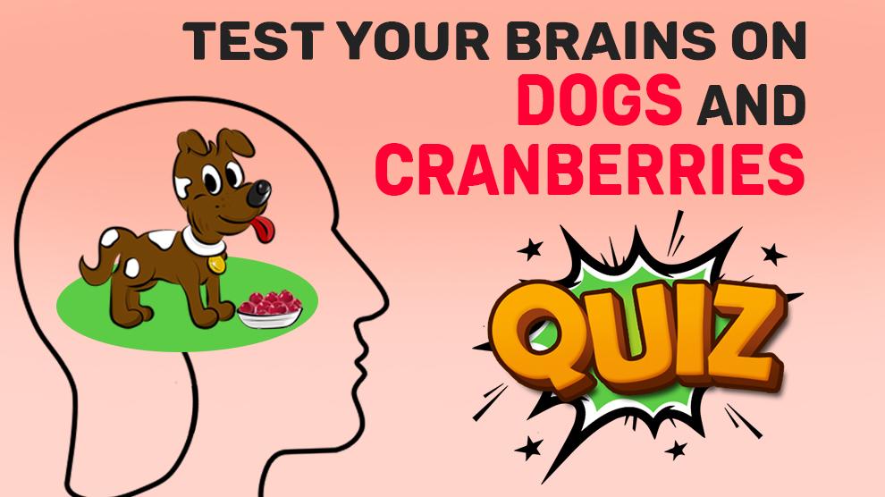 Can Dogs Eat Cranberries Quiz