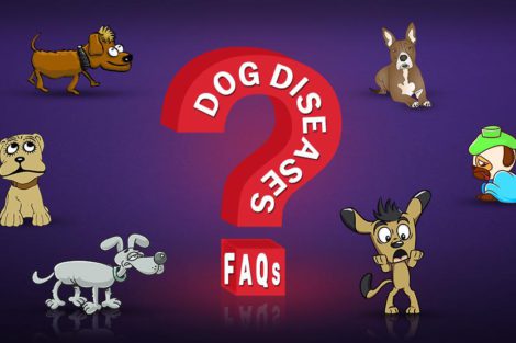 Dog Diseases FAQs