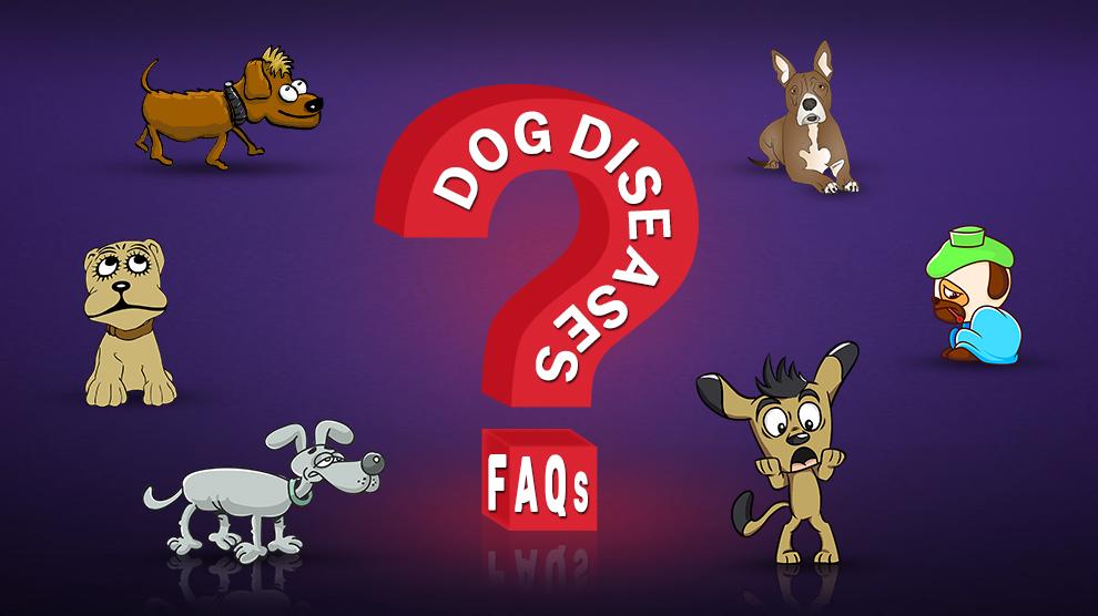 Dog Diseases FAQs