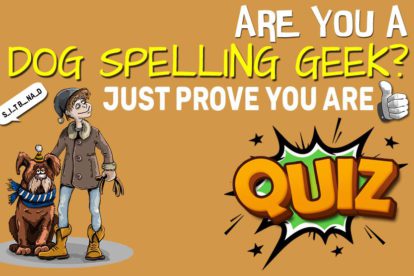 Are You A Dog Spelling Geek Prove You Are Quiz