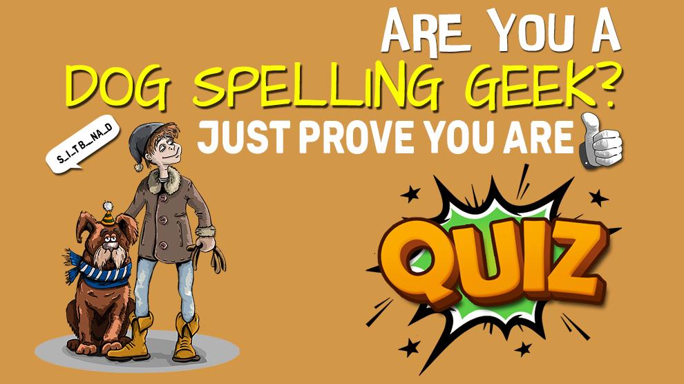 Are You A Dog Spelling Geek Prove You Are Quiz