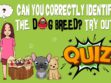 Identify Dog Breed Quiz