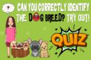 Identify Dog Breed Quiz