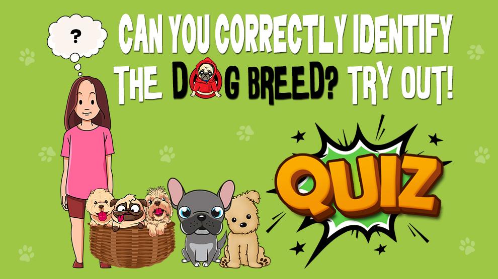 Identify Dog Breed Quiz