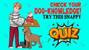 Dog Knowledge Quiz