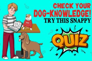 Dog Knowledge Quiz