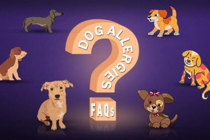 Dog Allergies FAQs