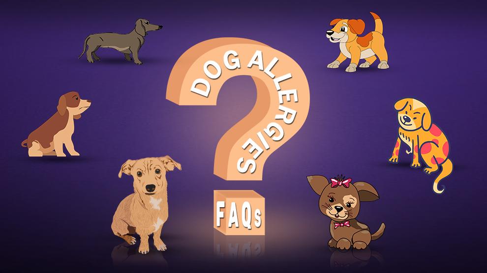 Dog Allergies FAQs