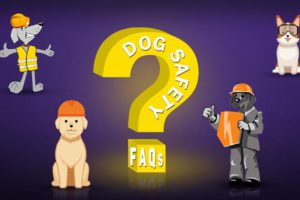Dog Safety FAQs