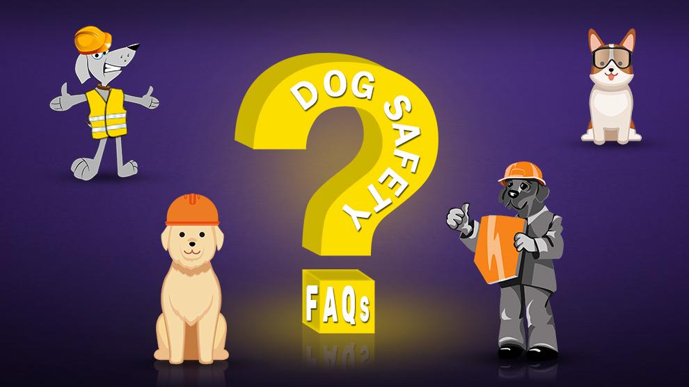 Dog Safety FAQs