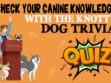 Dog Trivia Quiz