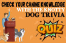 Dog Trivia Quiz