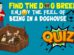 Find The Dog Breed Quiz