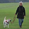 How To Train A Dog To Walk On A Leash