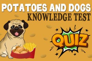 Potatoes And Dogs Knowledge Test Quiz