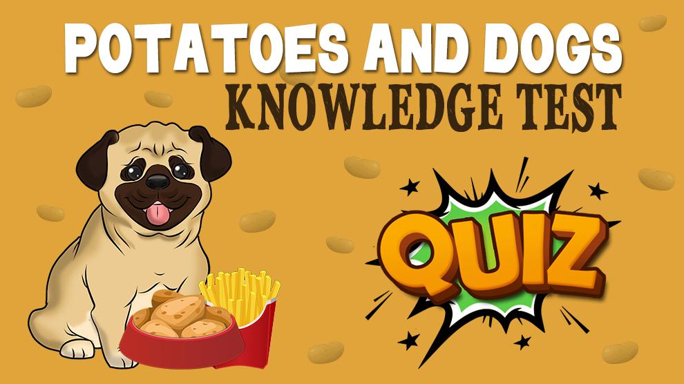 Potatoes And Dogs Knowledge Test Quiz