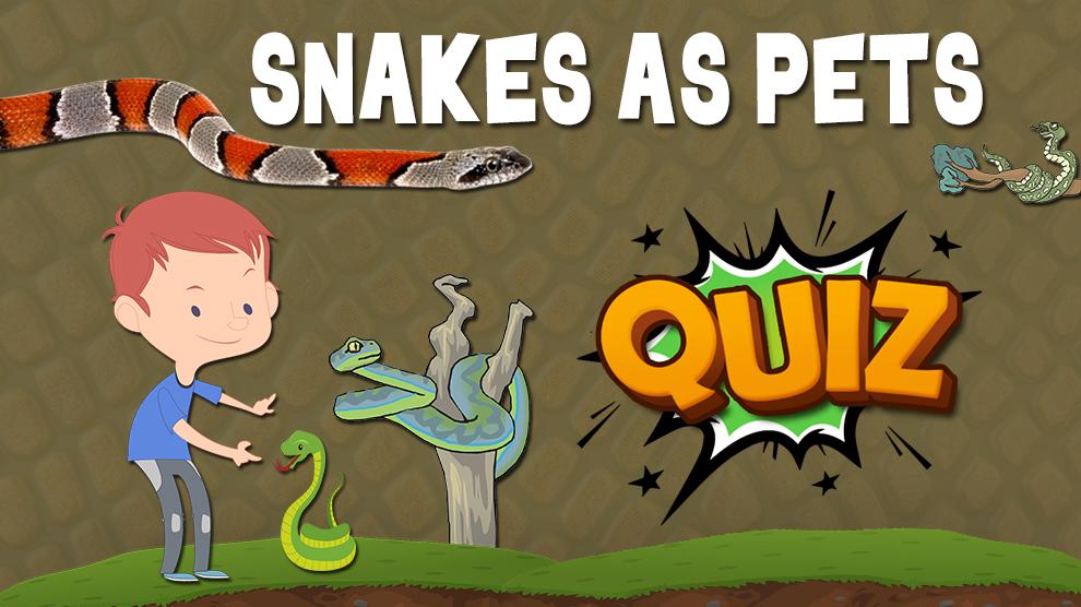 Snake Pets Quiz