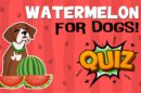 Watermelon For Dogs Quiz