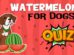 Watermelon For Dogs Quiz