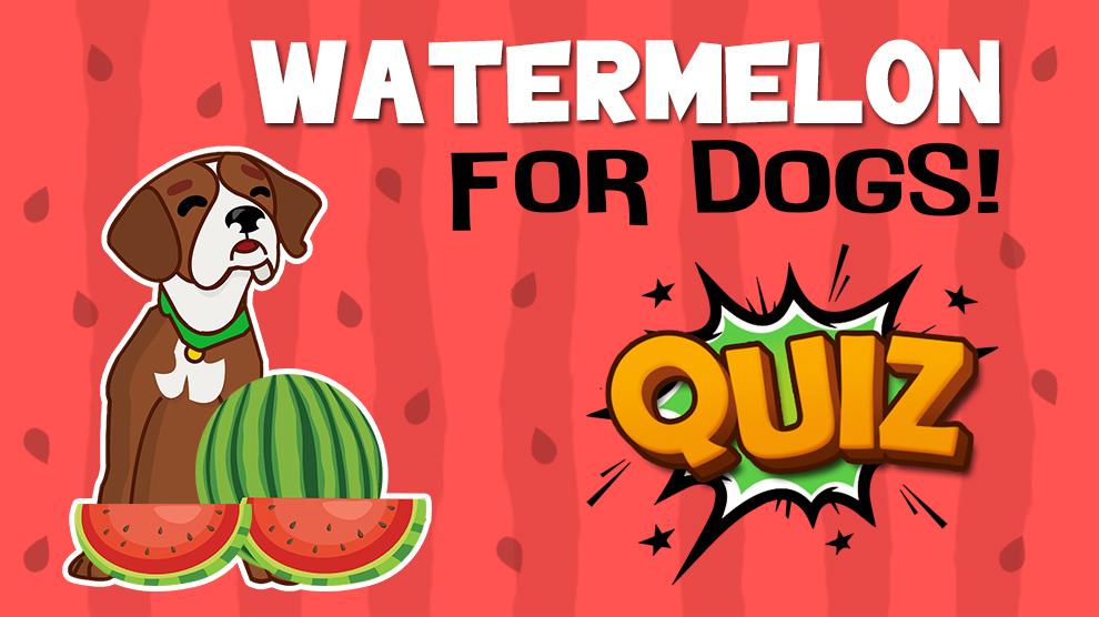 Watermelon For Dogs Quiz