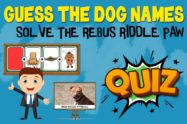 Dog Names Riddle Quiz
