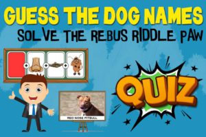 Dog Names Riddle Quiz