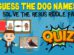 Dog Names Riddle Quiz