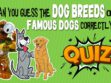 Famous Dog Breeds Quiz