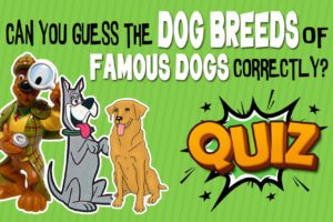 Famous Dog Breeds Quiz