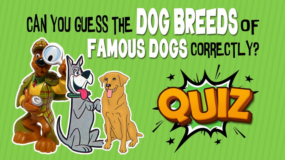 Famous Dog Breeds Quiz