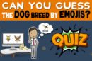 Guess Dog Breed By Emojis Quiz