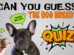 Guess Dog Breed From Puppies Quiz