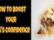 How to boost your dogs confidence