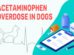 Acetaminophen Overdose In Dogs
