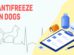 Antifreeze In Dogs