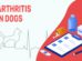 Arthritis In Dogs