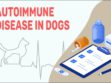 Autoimmune Disease In Dogs