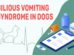 Bilious Vomiting Syndrome In Dogs