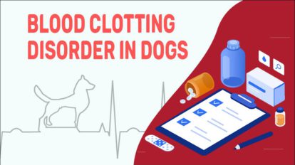 Bleeding Disorders In Dogs - Blood Clotting Disorder Overview - Petmoo - Feline Lymphoma And Blood Clotting Disorders