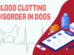 Blood Clotting Disorder In Dogs