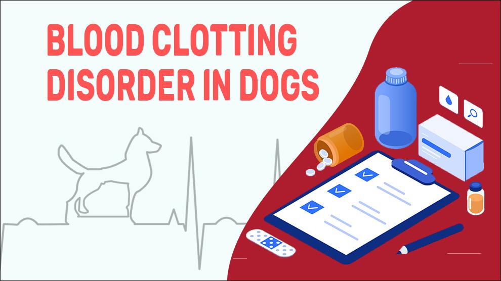 Blood Clotting Disorder In Dogs
