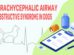 Brachycephalic Airway Obstructive Syndrome In Dogs